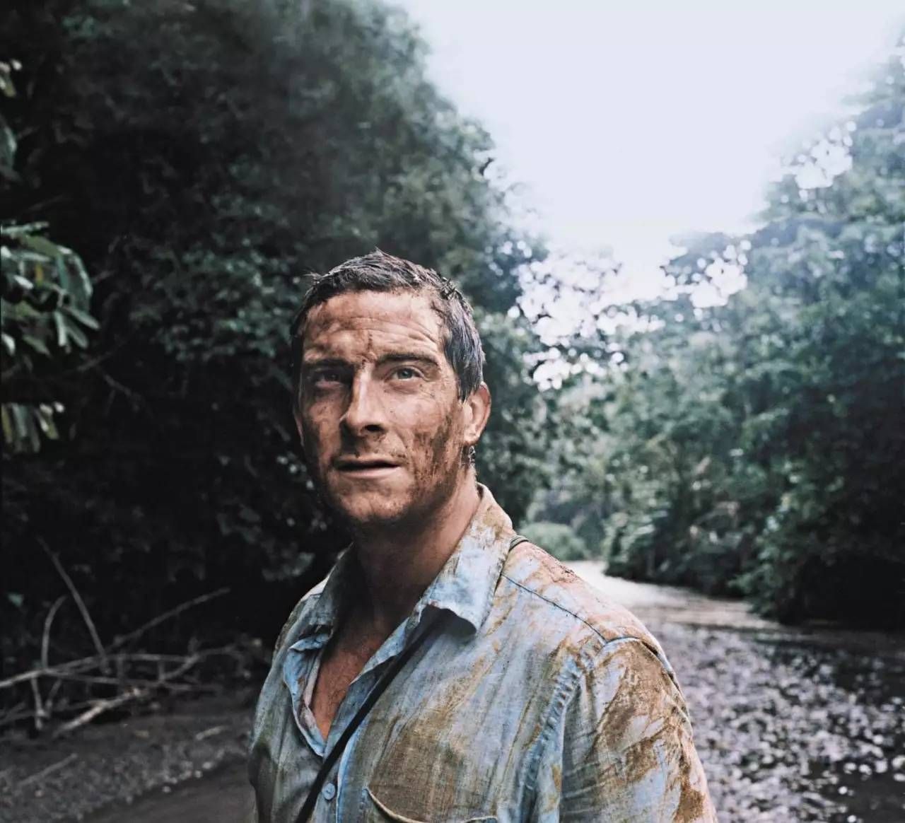 探秘亚马逊热带雨林十大恐怖动物,亚马逊的雨林为什么叫人类禁区