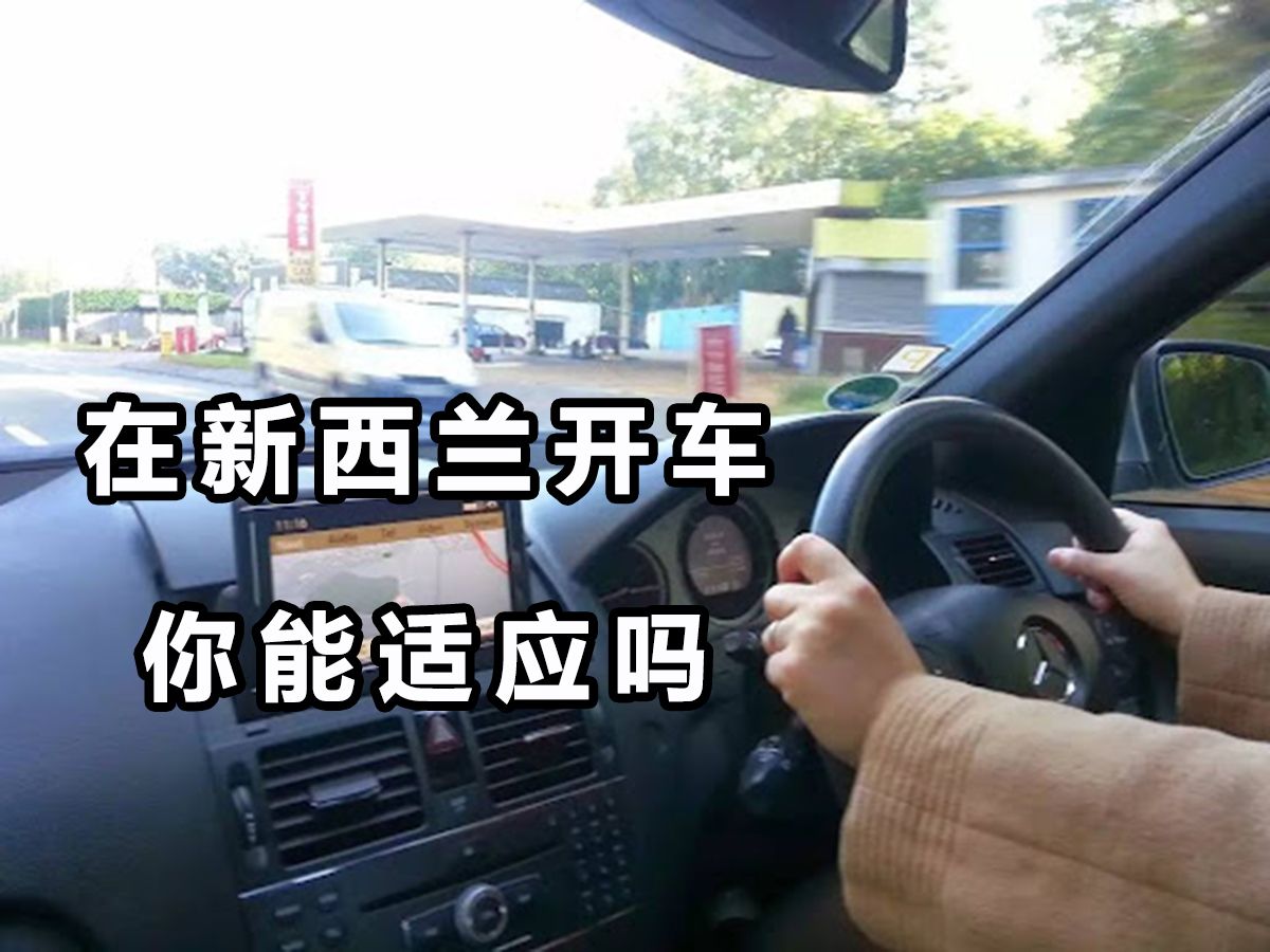 新西兰生活体验,新西兰的亲身经历