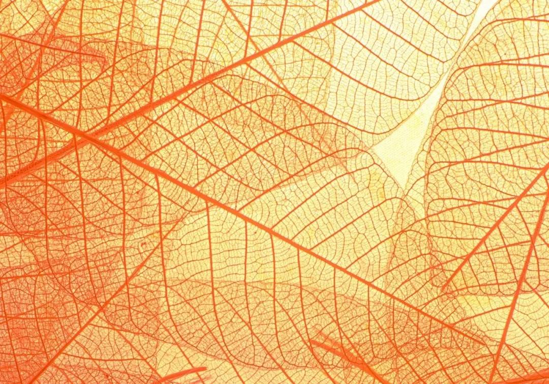 最好的美育是教育孩子,为什么我们的教育不能缺少美育