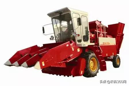 2023年鲜食玉米热销排行榜,2021年玉米双收排行