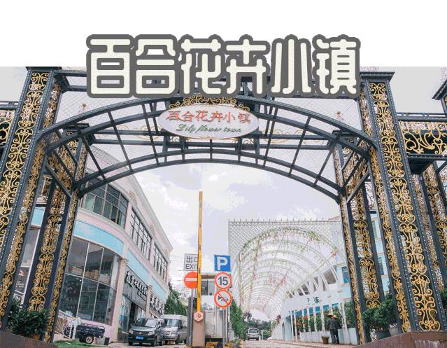 重庆轨道3号线,贵阳地铁3号线