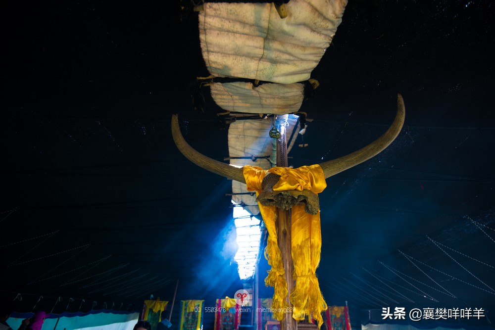 中国名马之乡,也是亚洲第一天然牧场