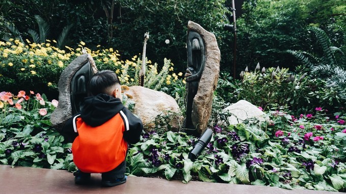 狮城新加坡自由行,新加坡7日游攻略