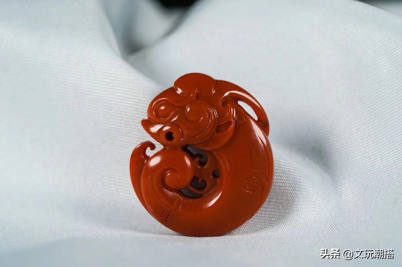 同样是猪同样好吃懒做,同样是猪为什么你这么好看