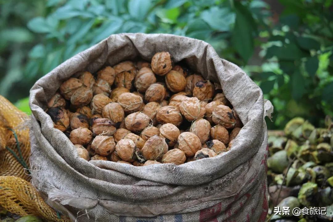 大凉山自然成熟的绿皮核桃,大凉山去青皮鲜核桃果肉饱满