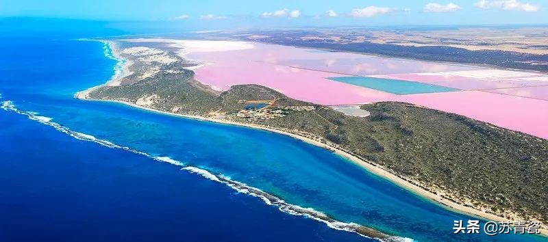 只知道大堡礁？澳大利亚还有这个冷门景点，美得不像地球