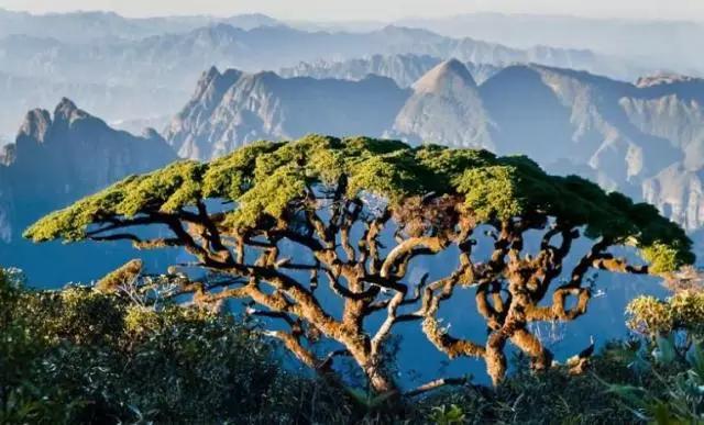 长白山冬雪约会掠影