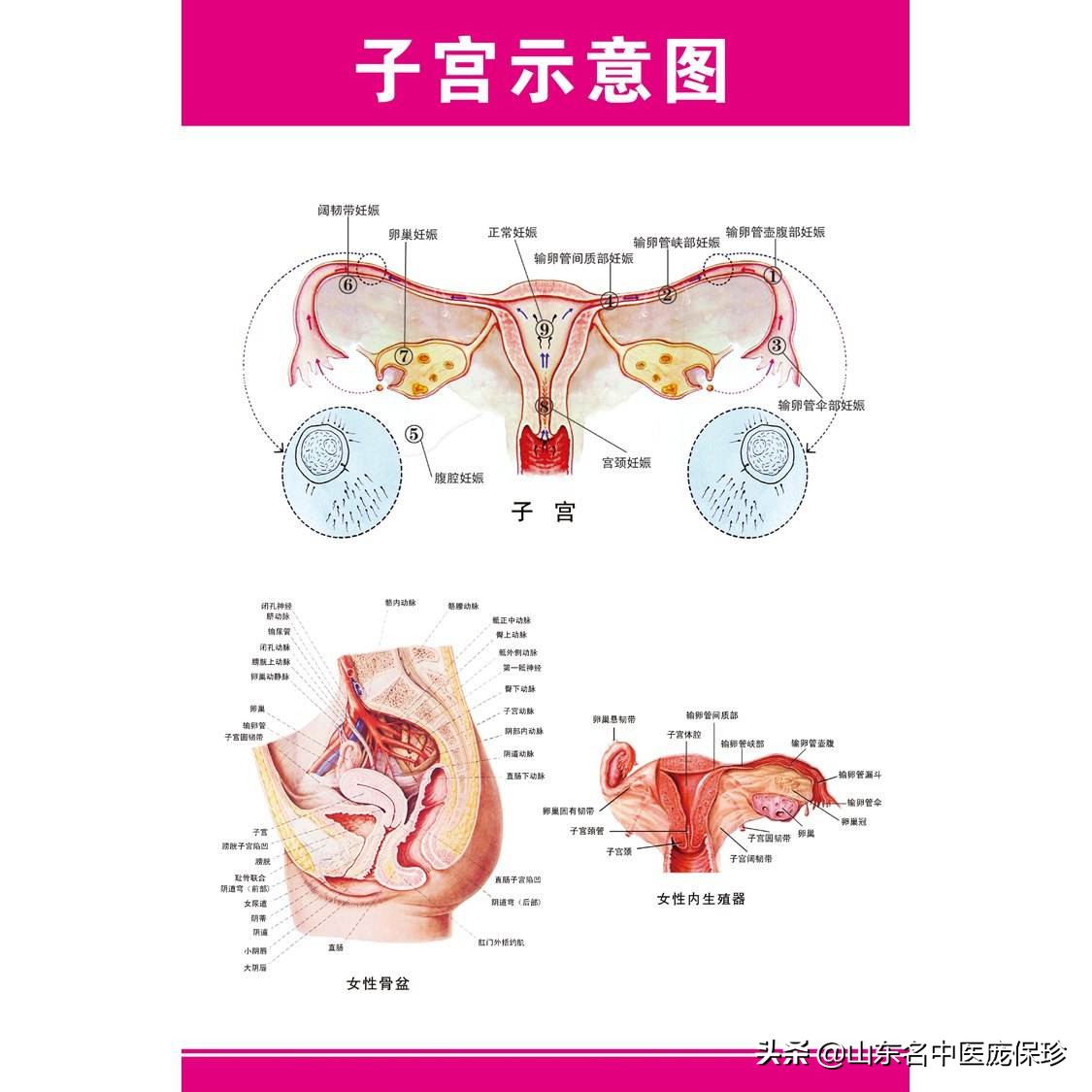 输卵管堵塞性不孕怎样治疗,输卵管阻塞性不孕怎么预防怀孕