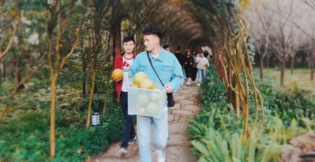 第1家国家4a级旅游区的大学博物馆,隐藏在各大校园里的有趣博物馆