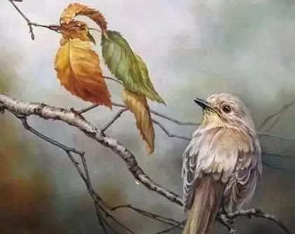 一萱辰语N.01《爱之旅:期待?等待?》