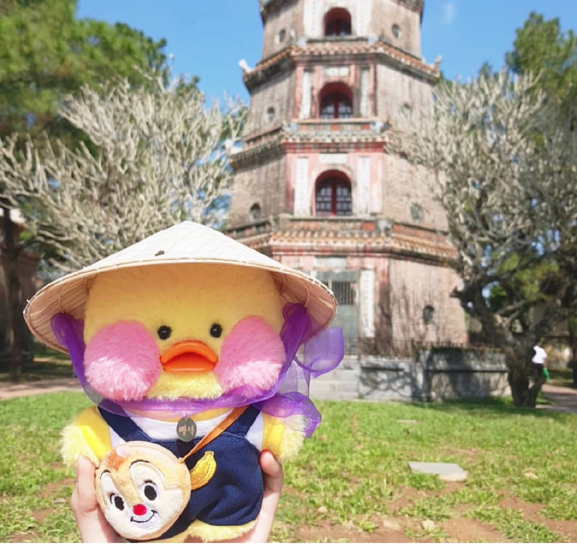 【可爱玻尿酸鸭头像】把身体照顾好，把喜欢的事做好