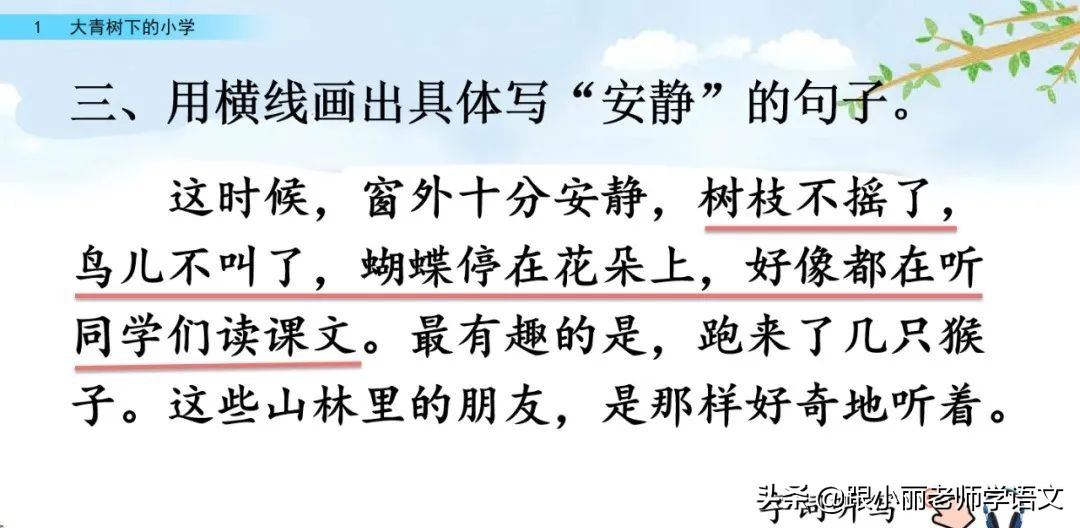 大青树下的小学重要背诵内容,大青树下的小学重点知识点