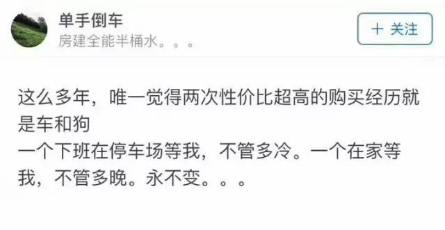 犬怀孕死胎是什么原因造成的,养狗死胎