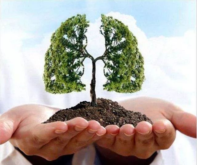 肠道菌群直接影响肠道健康,肠道菌群影响血糖吗