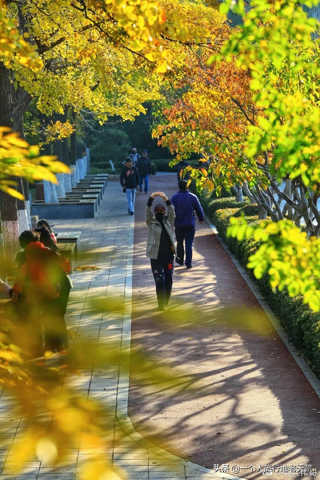 大连最浪漫的十个地方,大连浪漫景色