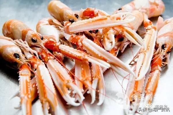 春节必买的海鲜,一年四季海鲜怎么选