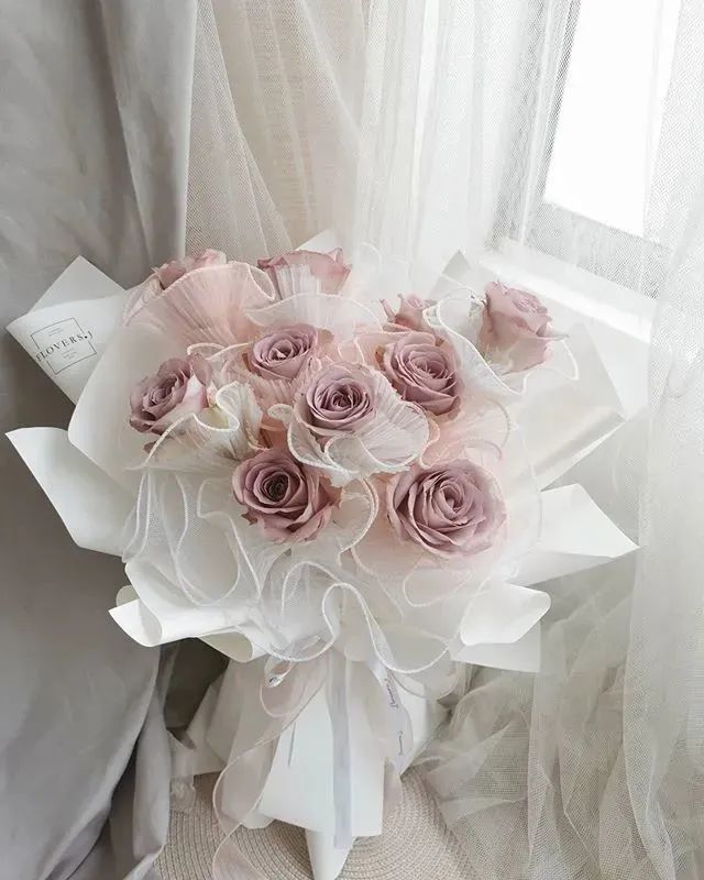 经典咏流传芦花,玫瑰花经典咏流传