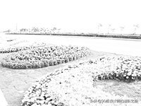 一篇文章读懂拓扑排序,一篇文章读懂摄影