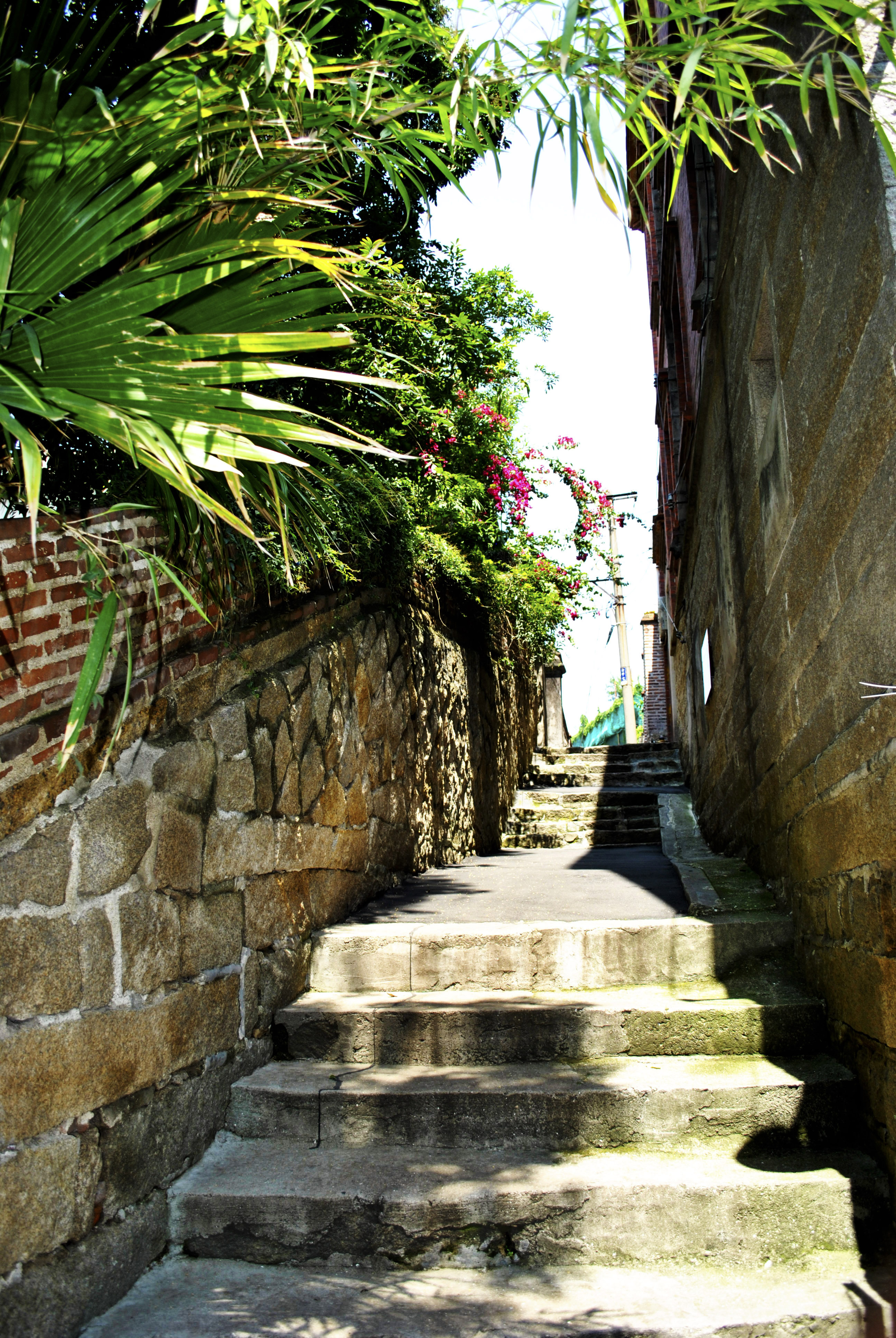 福建足球历史,这里是中国福建