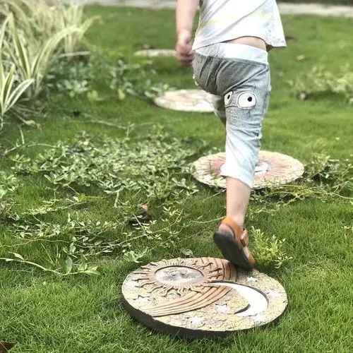 精心饲养的花草,精心呵护花草的收获和感受