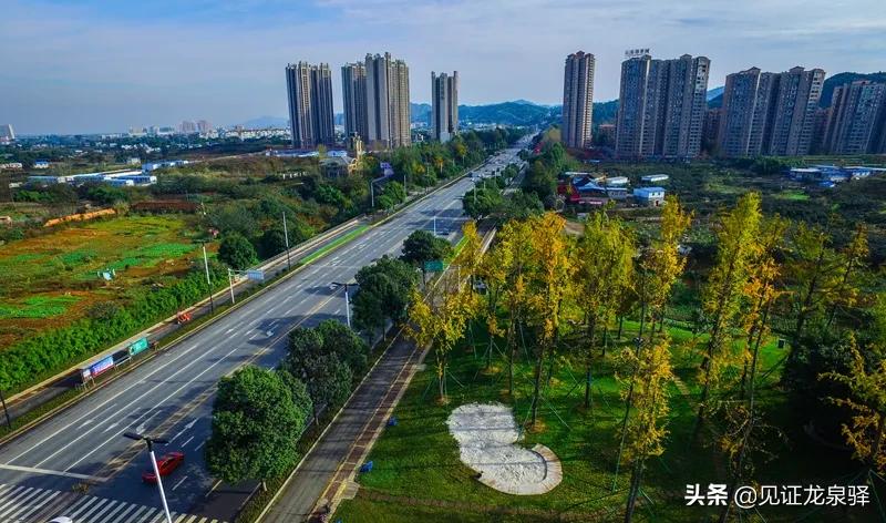 龙泉驿区最新交通消息,龙泉驿交通最新规划