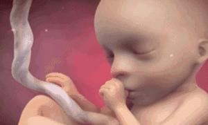 左撇子真的比一般人聪明吗,左撇子真的聪明一些吗