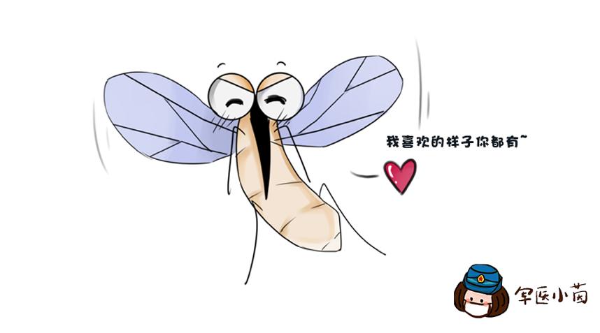 军医小茵所有视频,又被咬了收下这份防蚊秘籍