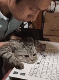 机械键盘各种轴区别怎么选择,应该如何选择机械键盘