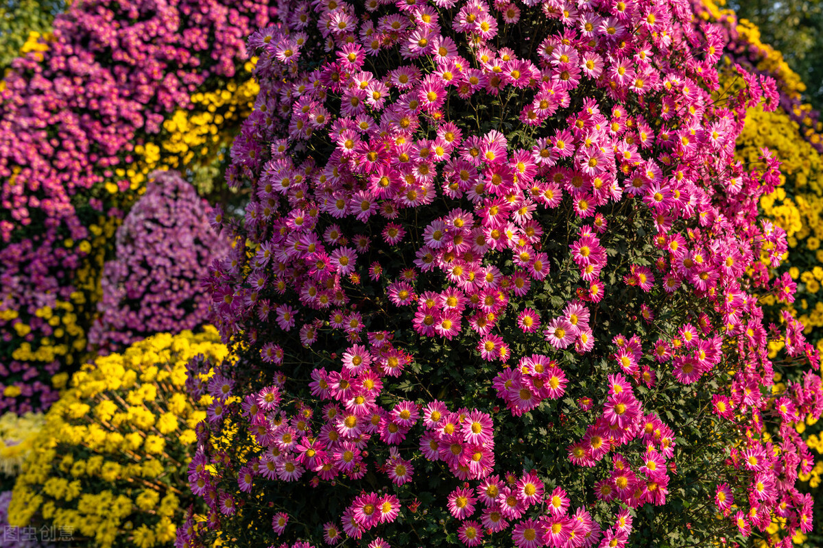 带你走进不一样的广西南宁,带你认识广西桂林