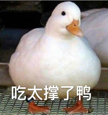 为什么会计不建议学,为什么女生入行会计这么难