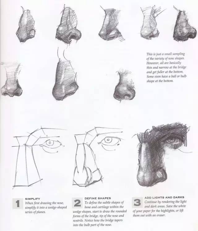 美术速写鼻子教学,美术绘画鼻子教学