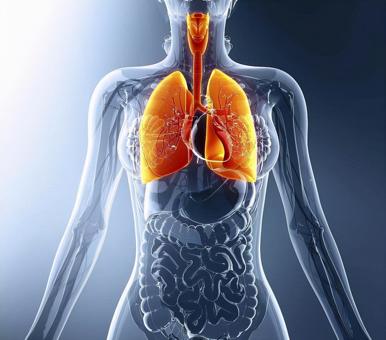 花甲老人身患“肺结核”多年,身体却很康健,是什么原因