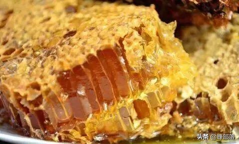 七大蜜蜂养殖秘诀教你怎么养蜂,如何养蜂蜜蜂养殖技术