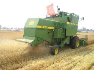 玉米花生种植高产技术,玉米高产高效种植技术