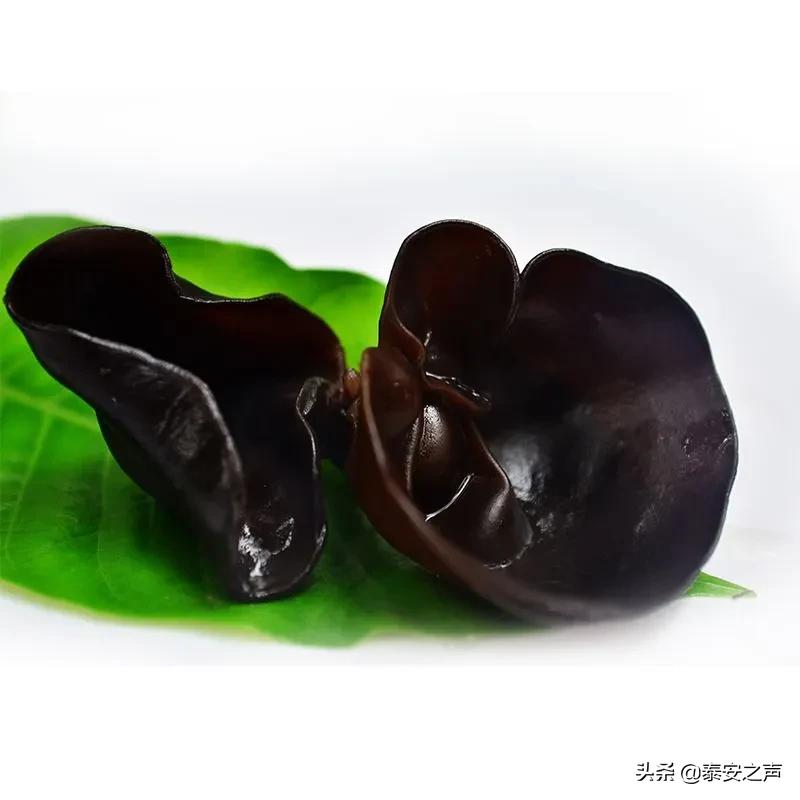 最容易买到的5种假货,警惕这些假货不要上当受骗