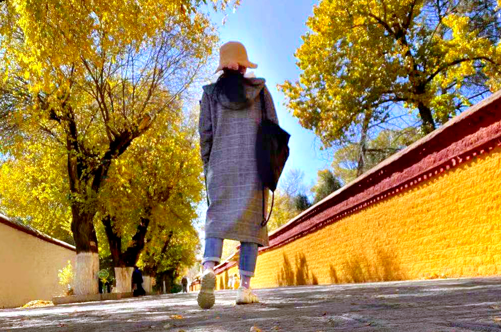 即使在路上走走，*藏西**风情也能让你流连忘返