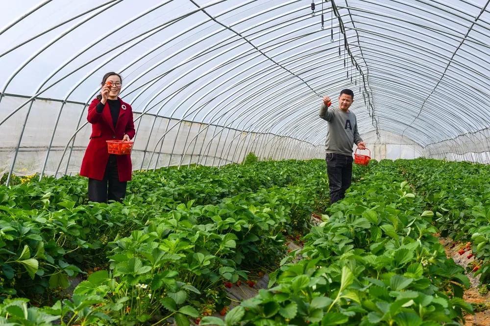 滁州市美景,安徽滁州美丽风景冬天视频