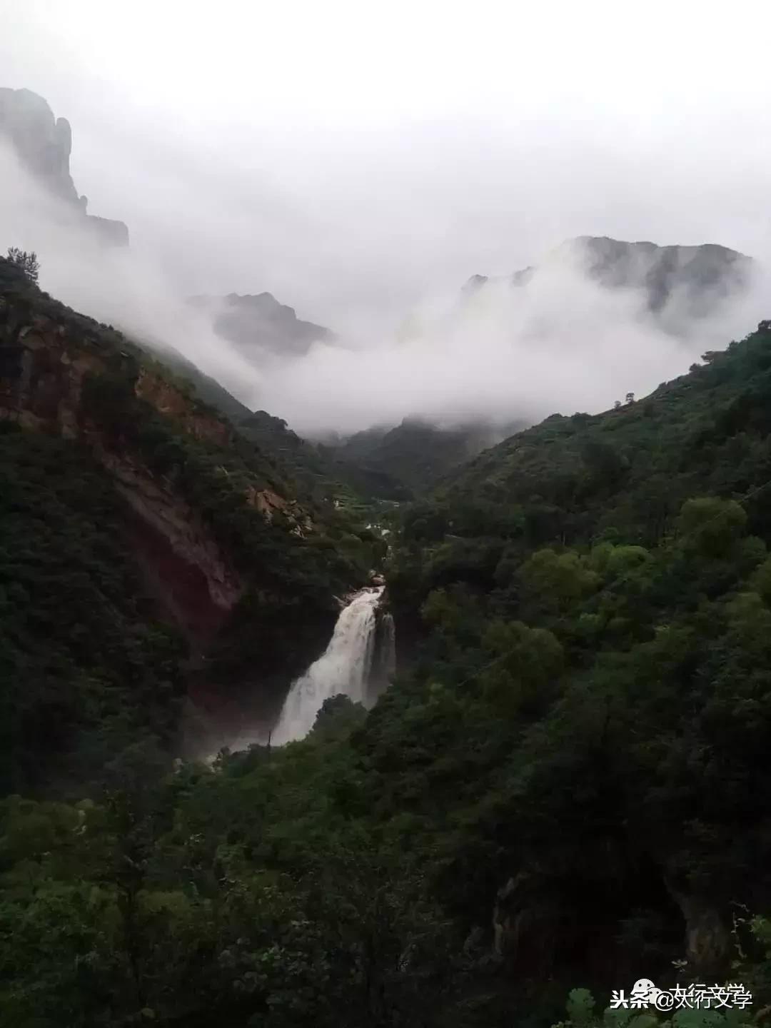 神脉的长生药,张贵栓歌曲大全