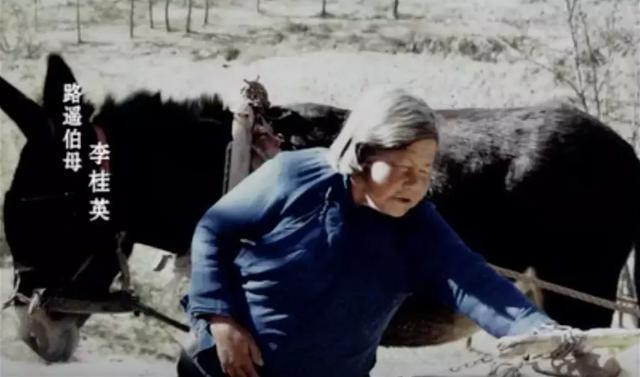 平凡的世界路遥幸与不幸,平凡的世界路遥背后的故事