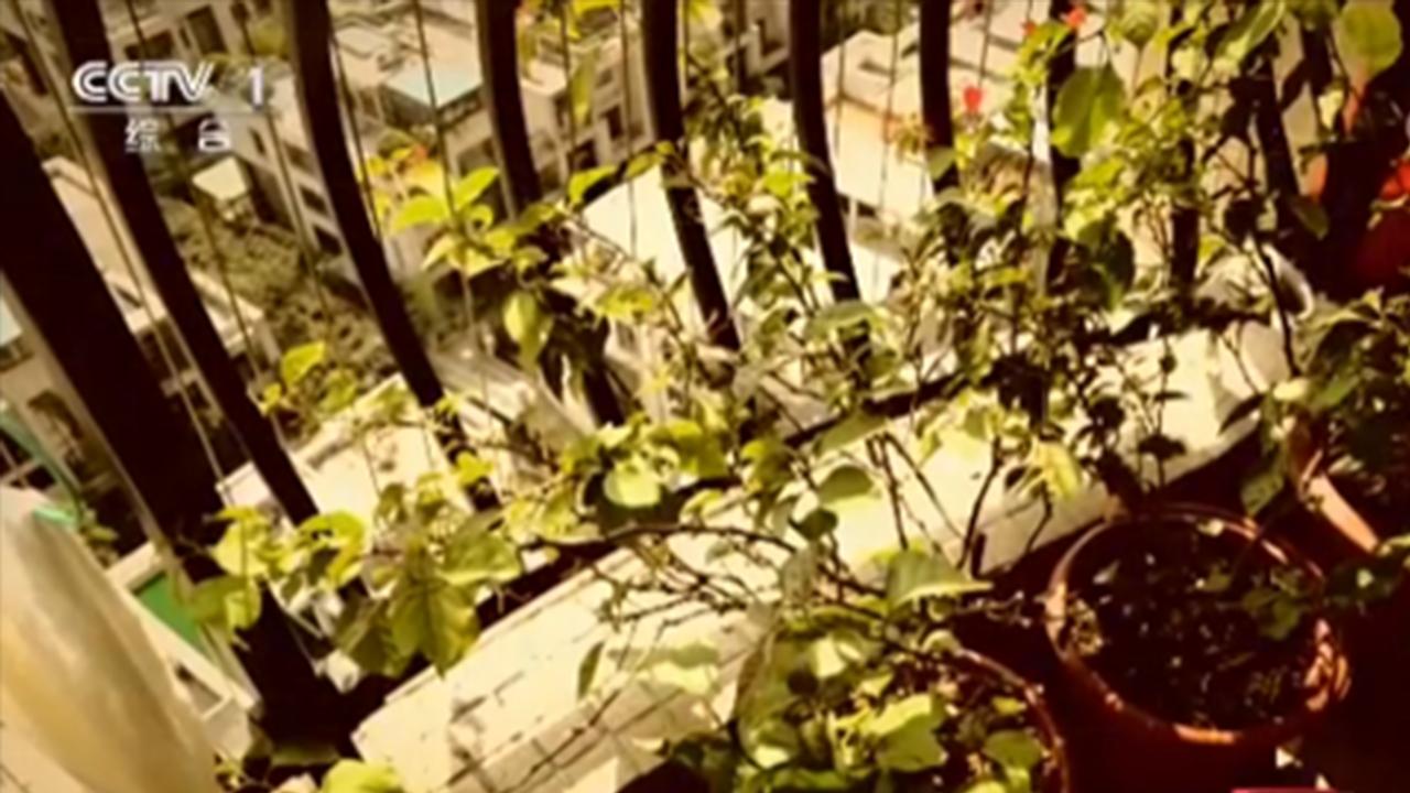 婴儿被砸苹果后续,东莞楼上扔苹果砸中婴儿