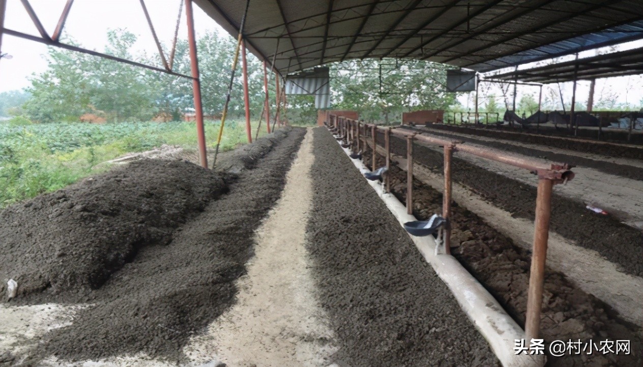 小型养殖什么最赚钱创业项目,农村养殖投资少赚钱快有哪些项目