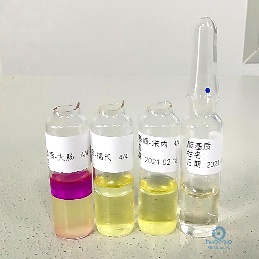 食品中志贺氏菌的检测,志贺氏菌检测标准值是不得检出吗