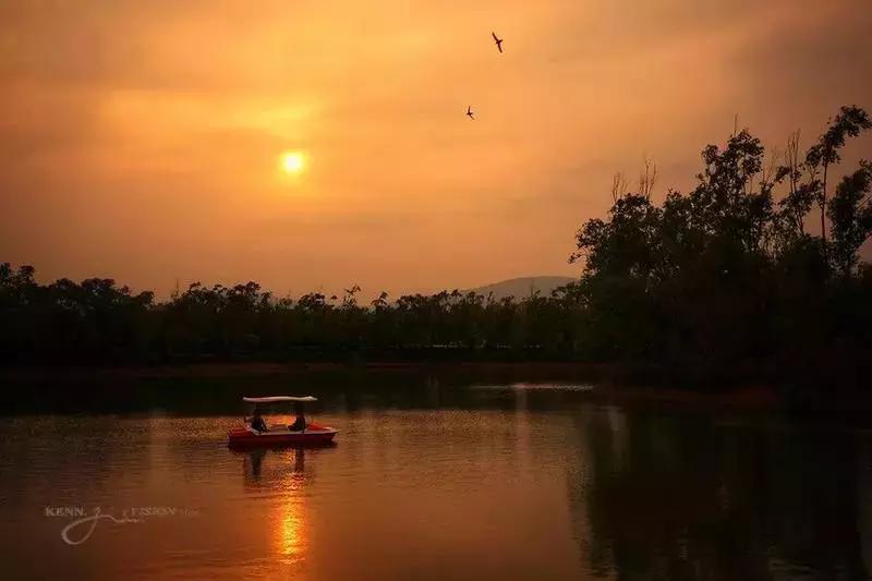 高铁直达西安旅游攻略,坐高铁到西安游古城墙和大雁塔
