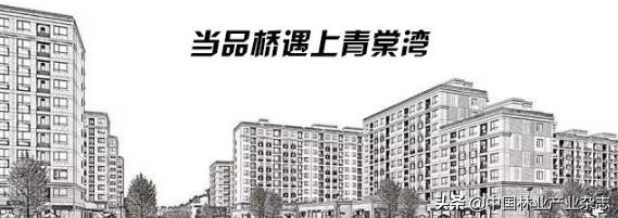 品桥木门：北京大兴机场|凤凰已经展翅，未来正在启航，我门承蒙青睐