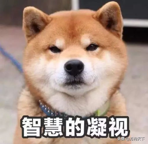 钟丽缇糖尿病,钟丽缇断食排毒