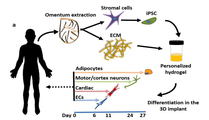 3d打印3种核心技术,3d打印器官最前沿技术