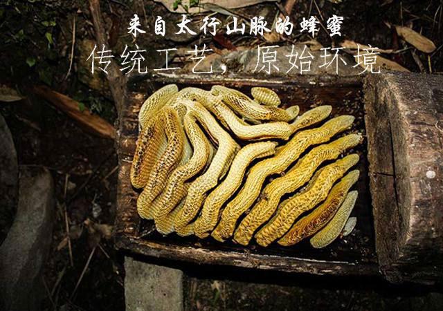 蜂蜜不能乱喝详解各种蜂蜜知识,蜂蜜有什么缺点和危害