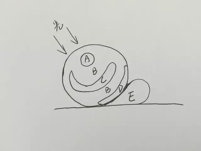 水彩密密麻麻的树叶怎么画,水彩画教程入门叶子