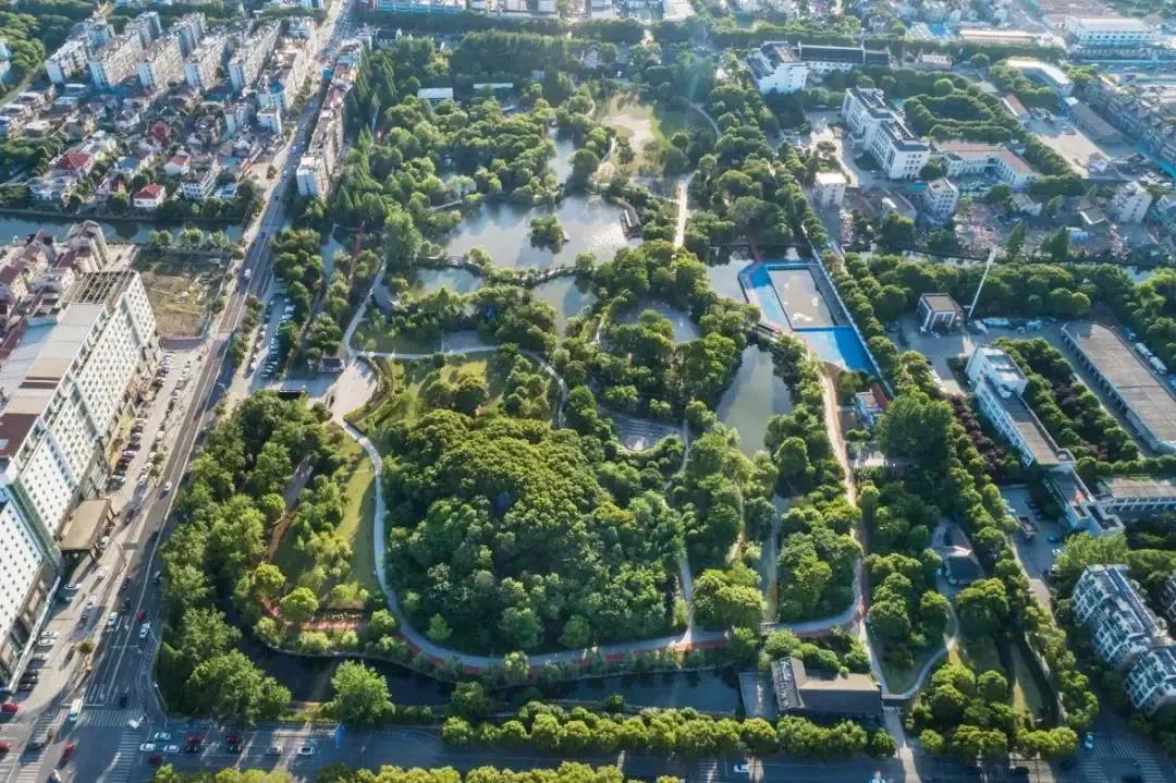 厉害了浙江嘉善00后,实力嘉善