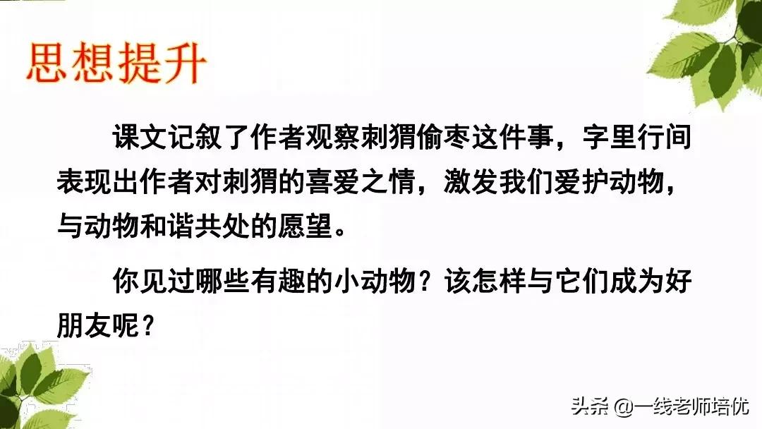 三年级语文带刺的朋友课堂笔记,带刺的朋友三年级上册